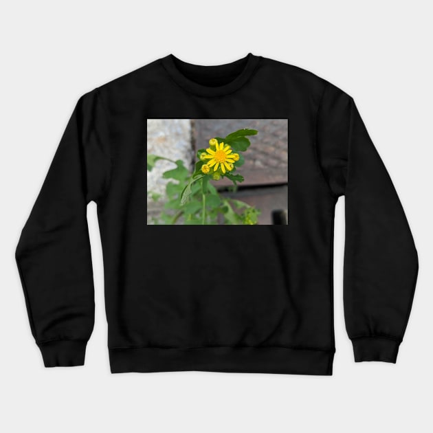 Dandelions Crewneck Sweatshirt by AustaArt